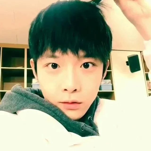 狄栋雅珍