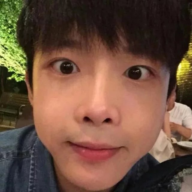 穆振维利