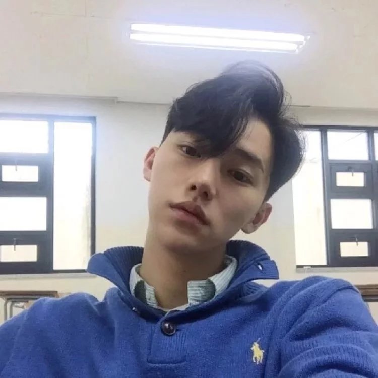 解顺琛娣