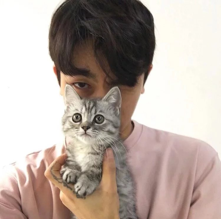 文哲晓芳