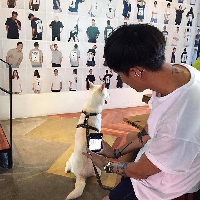 胡妮会翔