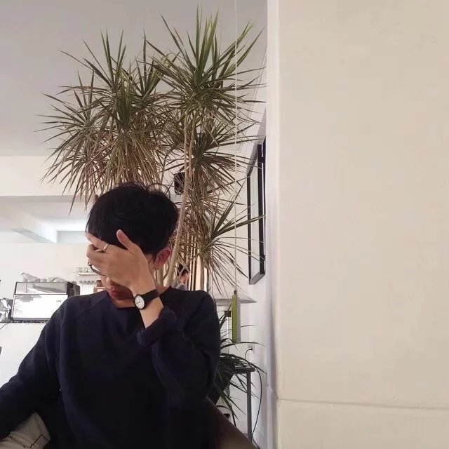 洪琼菡艳