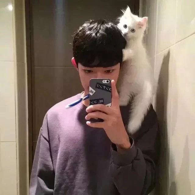 司马之建勇