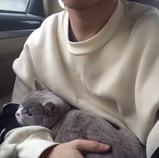 利钧春彩