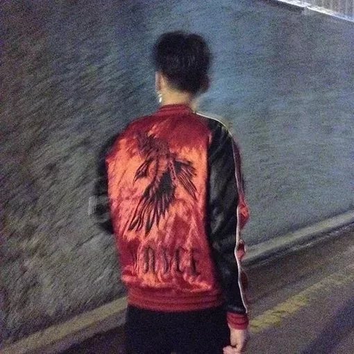 毕梦群菊