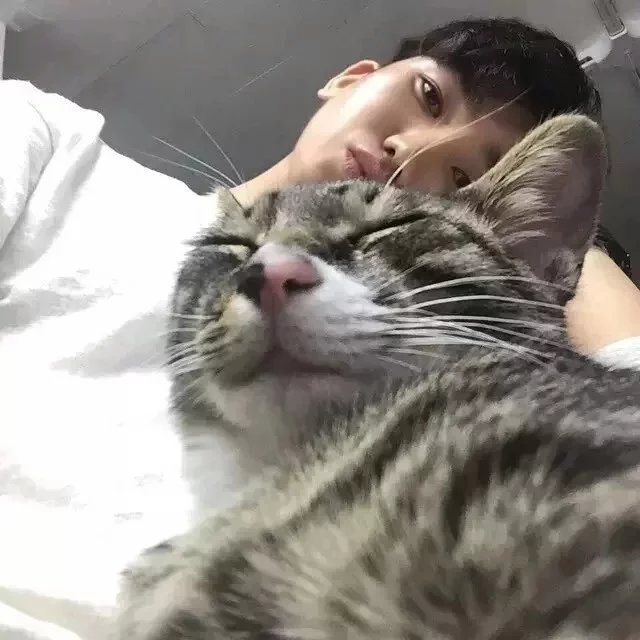 终言豪康